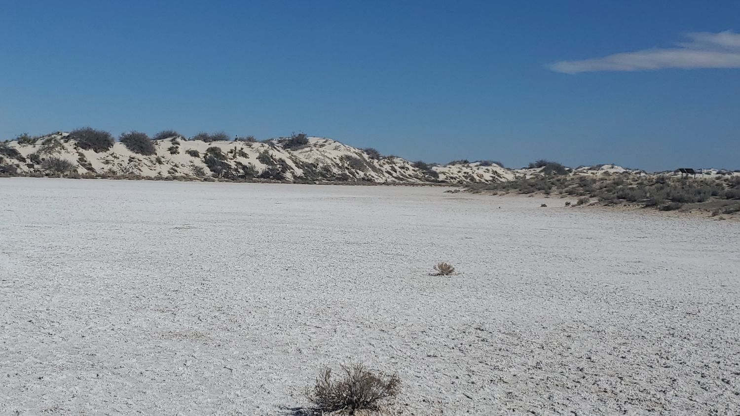 White Sands Playa and Dune Life Trails 